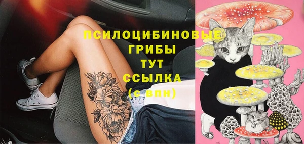 первитин Богданович