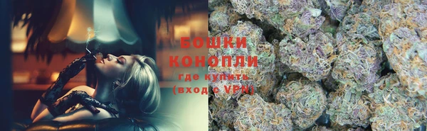 первитин Богданович