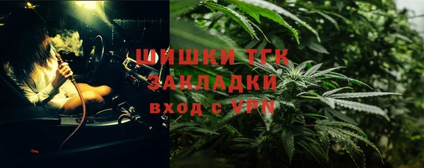 первитин Богданович