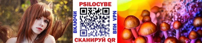 Псилоцибиновые грибы Psilocybe  Буинск 
